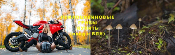 бошки Медвежьегорск