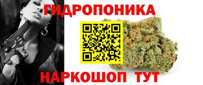 apvp Волгодонск