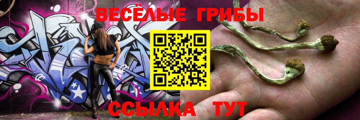 Alpha PVP Менделеевск