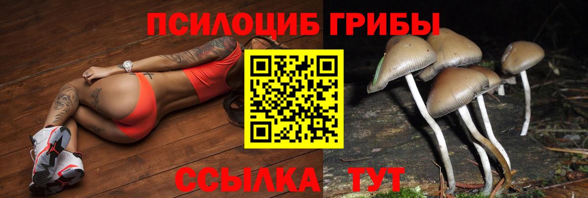 цена наркотик  Вход с VPN  Менделеевск  Псилоцибиновые грибы мицелий  Галлюциногенные грибы мицелий 